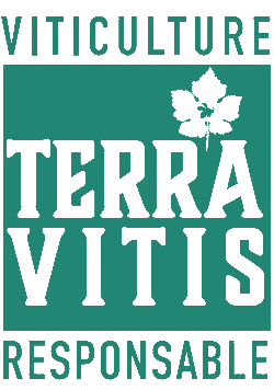 terra-vitis.jpg (79 KB)